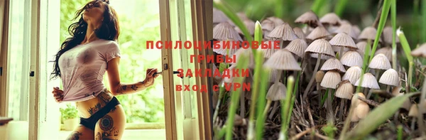 спиды Верхний Тагил